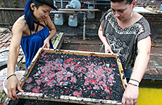 Papermaking Photo